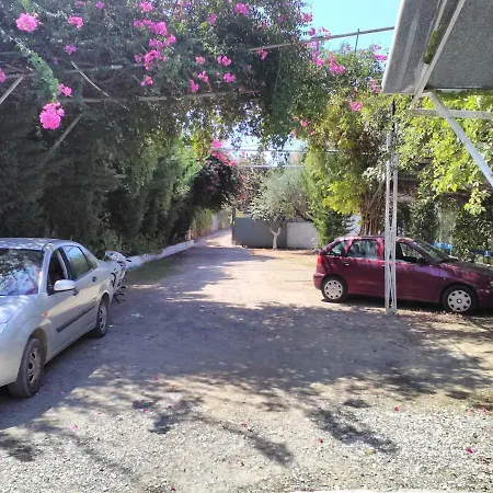 Chirios Napa Megali Mantineia